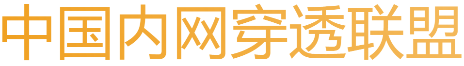 中国内网穿透联盟