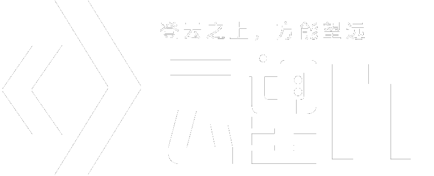 云望IT